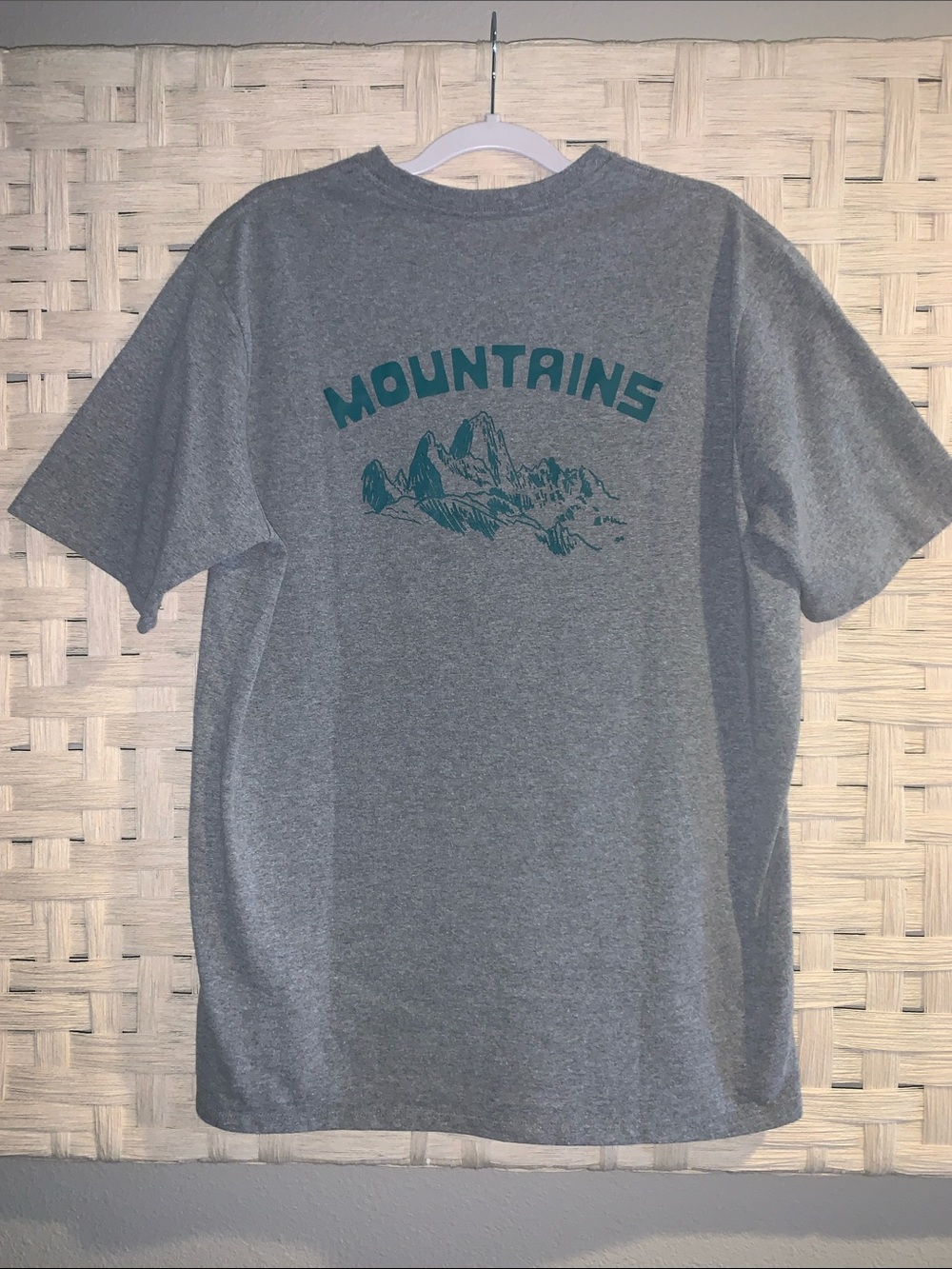 Patagonia Playlands Responsibili-Tee Gray Mountains Graphic Striped Sleeve